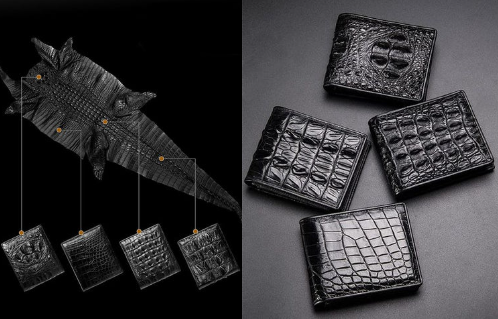 Comparison of cowhide and crocodile skin