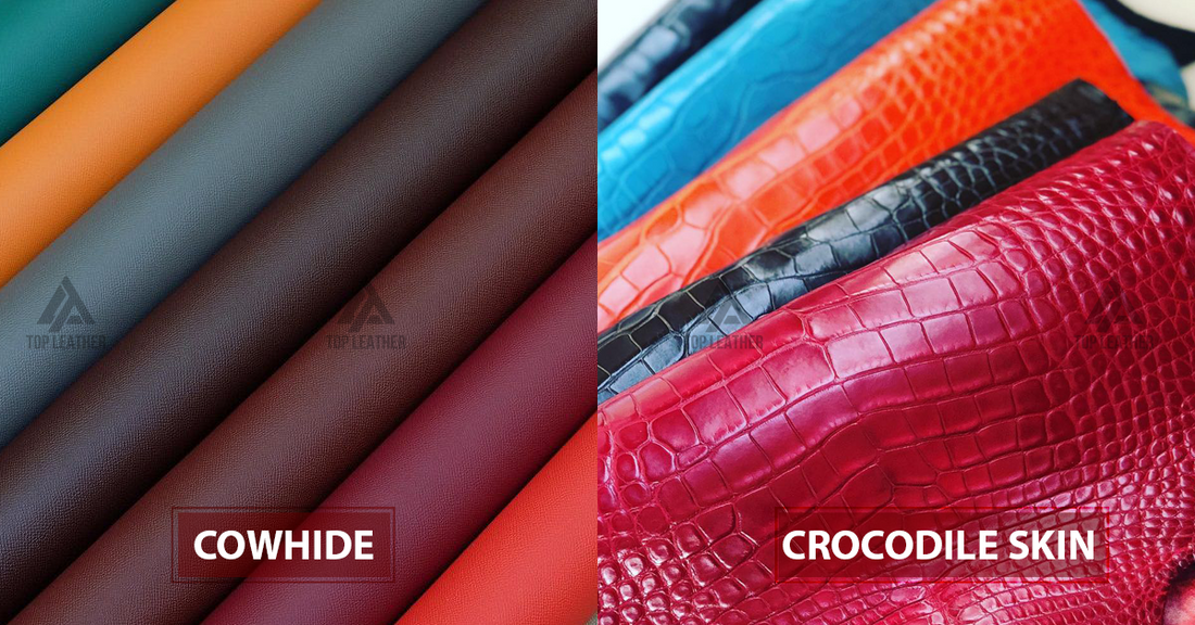 Comparison of cowhide and crocodile skin