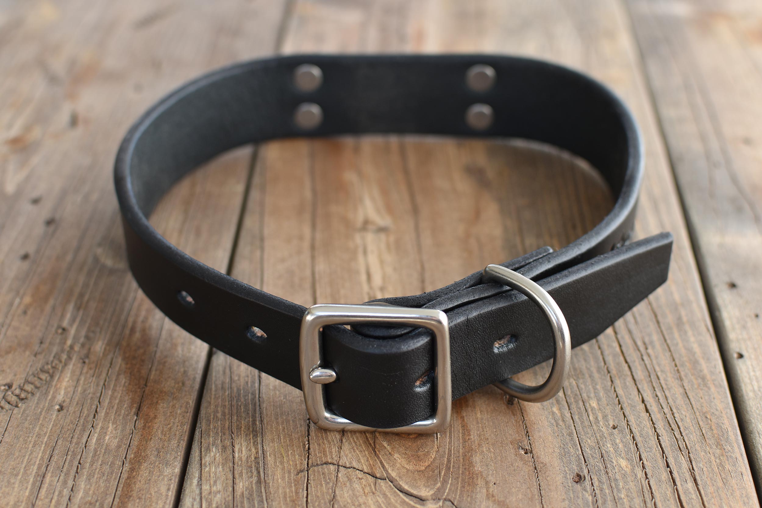 Dog Collar